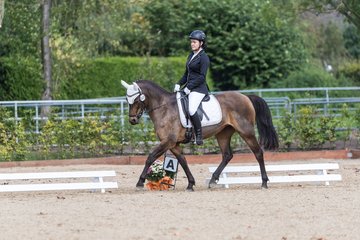 Bild 350 - Fuchshof Turnier